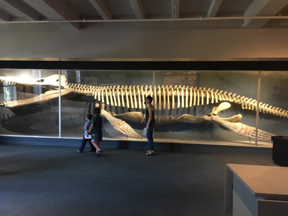 18A9BB69-891E-4BBD-8255-E193B1BB020F