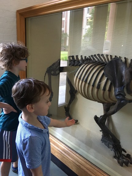 18A9BB69-891E-4BBD-8255-E193B1BB020F