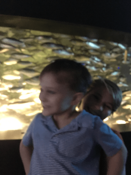 D24C770C-E1E1-4209-852A-B27176B3A26D