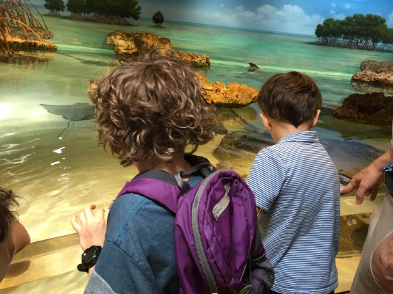 D24C770C-E1E1-4209-852A-B27176B3A26D