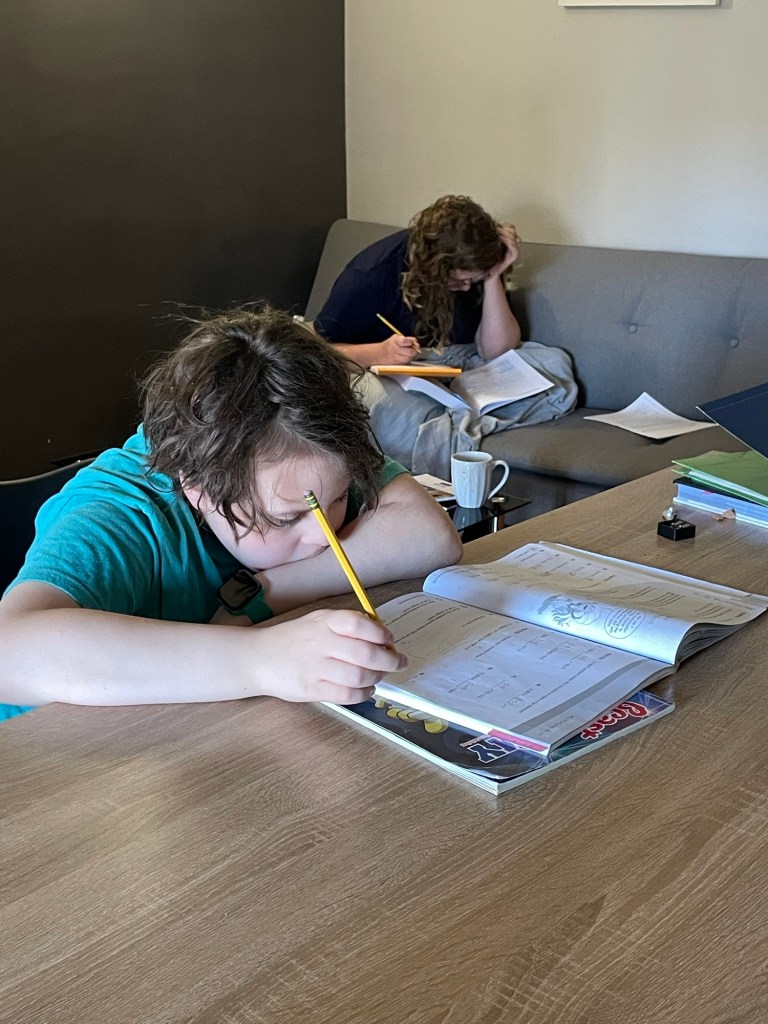 Two boys hunch over schoolbooks.  In the foreground, at a table; in the background, on a sofa