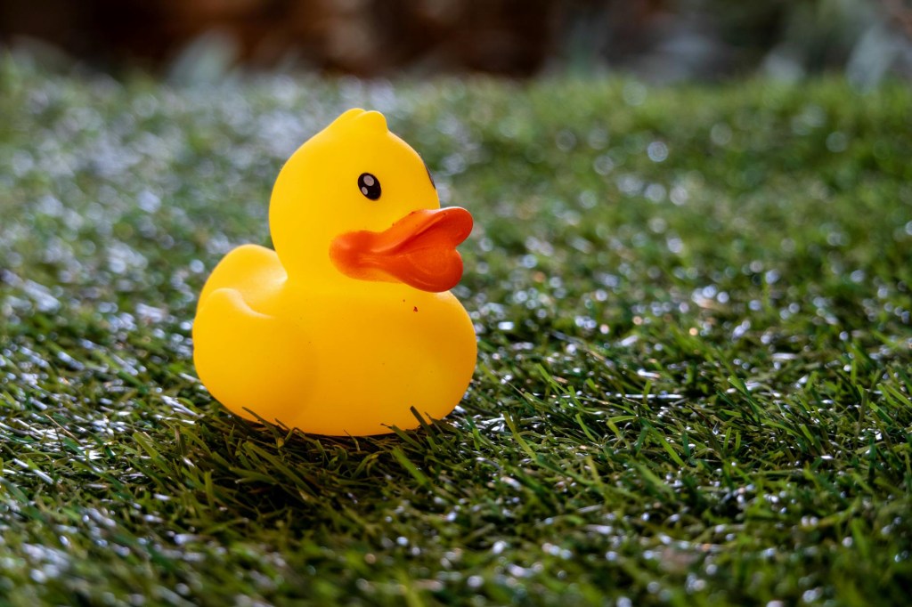 Yellow rubber duck on a surface of artificial grass